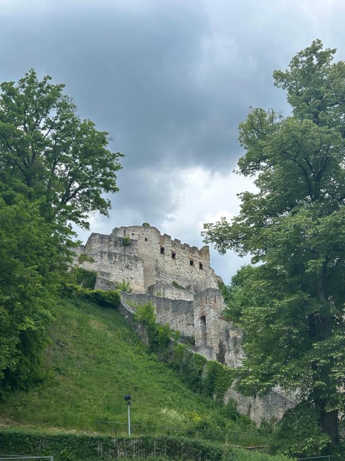 Ferienwohnung Zur Roni Treuchtlingen Dış mekan fotoğraf