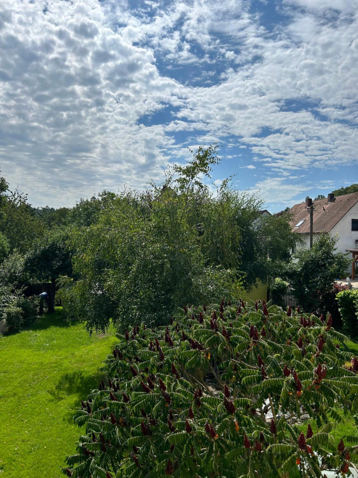 Ferienwohnung Zur Roni Treuchtlingen Dış mekan fotoğraf